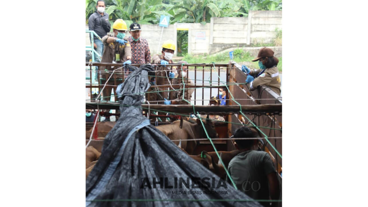 faktor yang Memengaruhi Tarif Pengiriman Hewan Antar Pulau