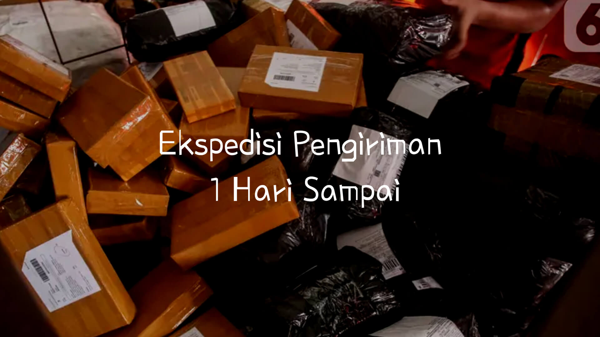 Ekspedisi Pengiriman 1 Hari Sampai