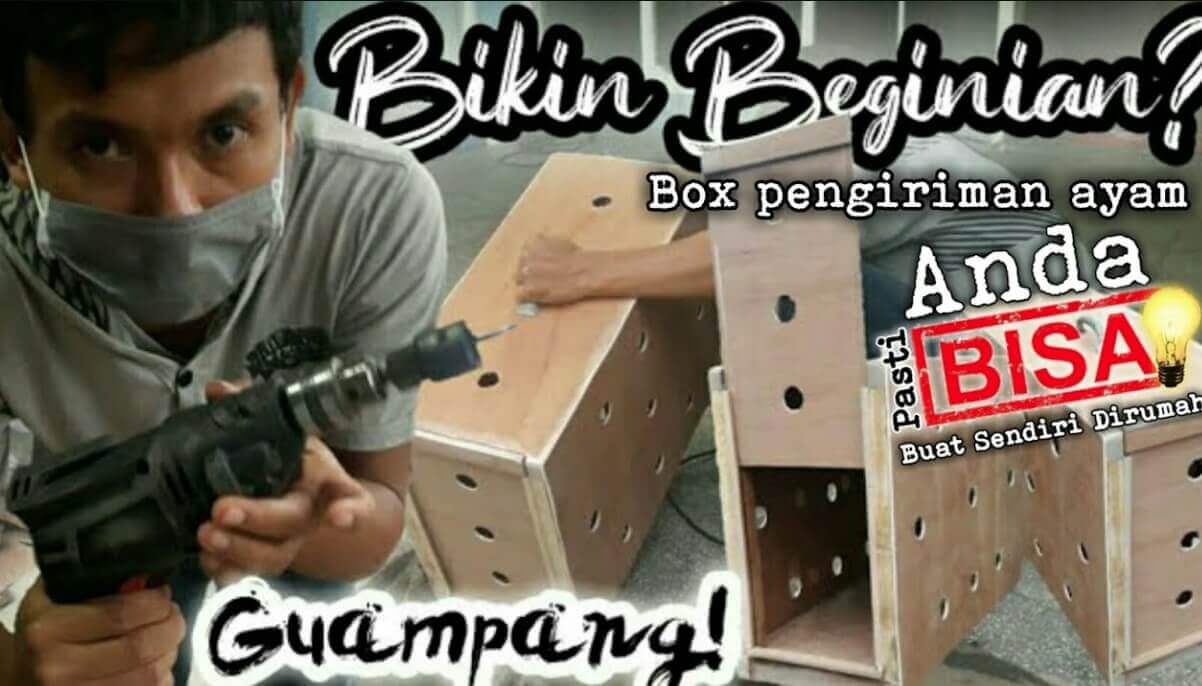 Tips Memilih Ekspedisi Pengiriman Ayam 2